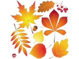 Виховна година милування природою на тему: «Танок осіннього листя»